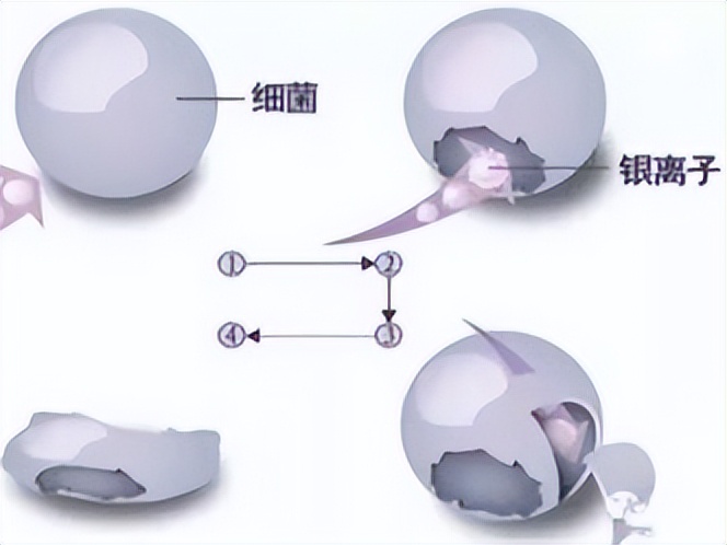 鹰牌改造家装配式墙板，满足工装项目多元需求！(图18)
